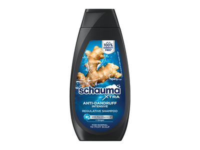 Pl. šampūnas SCHAUMA MEN INTENSIVE, 350 ml