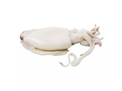 Šaldytos faraoninės sepijos, valytos, 25% glazūra, 500 - 1000 g, ~750 g
