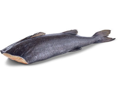 Šaldyta mažoji angliažuvė, be galvos, skrosta, 0% glazūra, 1,8 - 2,3 kg, ~2 kg / 22kg