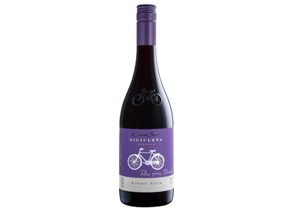 R.saus.v.CONO SUR BICICLETA PINOT NOIR, 0,75l