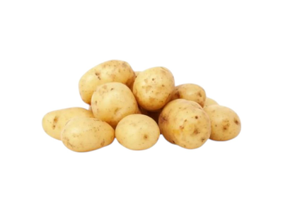 Bulvės  SPUNTA, kg