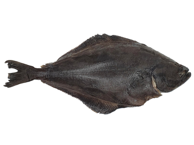 Atlantinis paltusas, skrostas, su galva,  7 -10 kg