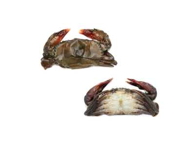 Šaldyti krabai,minkštu kiautu,10% glazūra,1kg