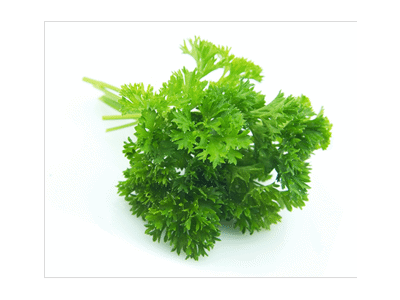 Ekologiškos petražolės MAXIMA EKOLOGICA, 100 g