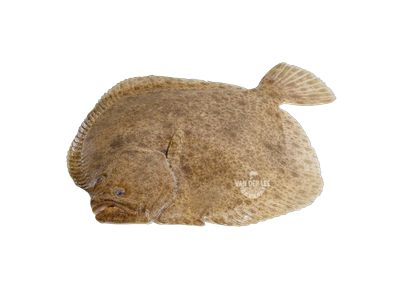 Paprastasis otas, neskrostas, su galva, 2,5-3 kg, ~10 kg