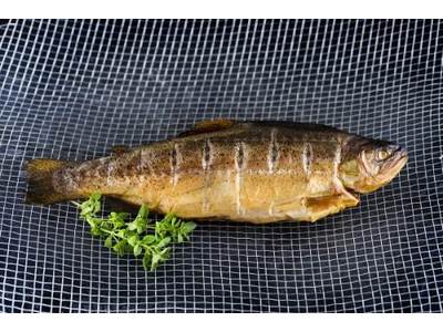 FS Karštai rūkytas upėtakis, 0,5-1,3 kg, kg