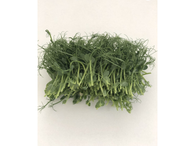 Skinti žirnių ūgliai, 100 g, GN1