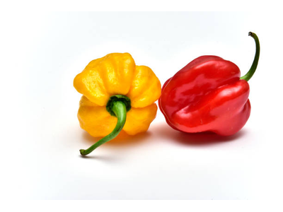 Aitriųjų pipirų HABANERO mix, kg