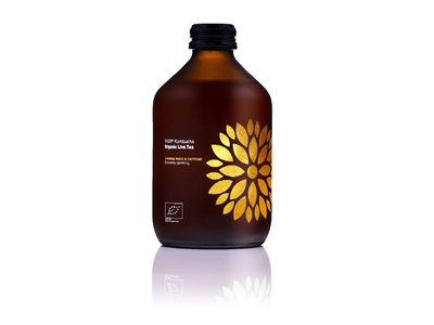 Ekologiškas gaivusis arbatos gėrimas VIGO Kombucha, Yerba Mate 330ml, LT-EKO-001