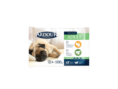 Konservuotas šunų ėdalas ARDOUR su mėsa, 4 vnt., 400 g