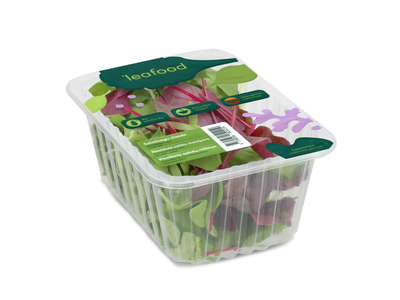 Klasikinis salotų mišinys, 70 g