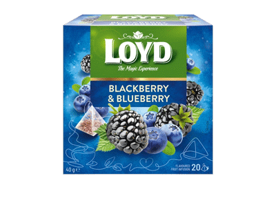 Vaisinė gervuogių ir mėlynių arbata LOYD, 40 g