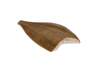 Paltusinės plekšnės, skrostos, atitirpintos, 1 kg