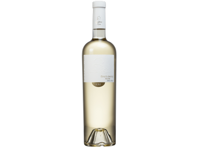 Vaisių-uogų vynas GINTARO SINO, sausas 12 %, 0,75 l