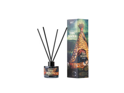 Namų kvapas CANDLE FAMILY Terra Incognita, 120 ml