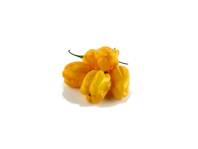 Aitrieji pipirai HABANERO, geltoni, I kl. kg