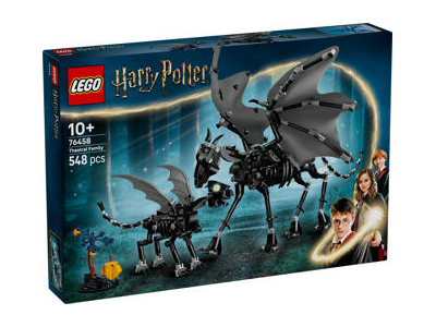 Konstruktorius LEGO Harry Potter 76458, 1 vnt.