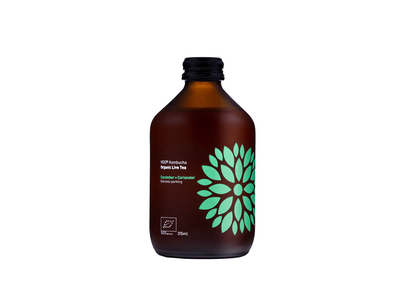 Ek. gėrimas agurk. sk. VIGO KOMBUCHA, 0,33 l