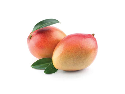 Sunokę mangai BON VIA PREMIUM