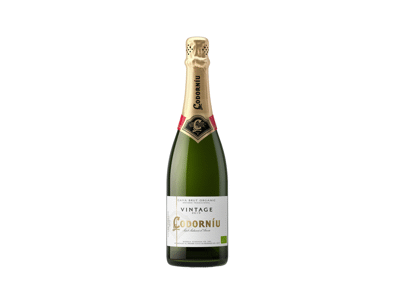 Putojantis baltasis sausas vynas CODORNIU VINTAGE CAVA, 750 ml