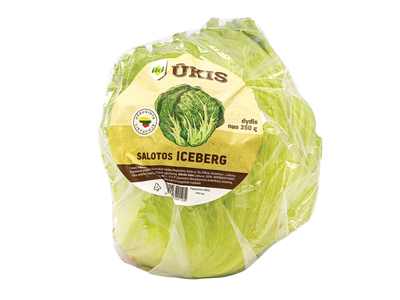 Salotos ICEBERG IKI ŪKIS