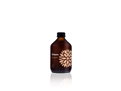 Ekologiškas gaivusis arbatos gėrimas VIGO Kombucha, persikas+citrinžolė, 330 ml, LT-EKO-001 D