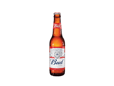 Alus BUD, 330 ml