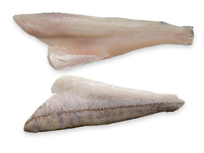 Šaldyta sterko filė, su oda, 10%, 120-170 g, 5 kg