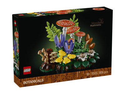 Konstruktorius LEGO MIŠKO GRYBAI 11505