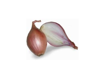Svogūnai SHALLOT, I kl.,kg