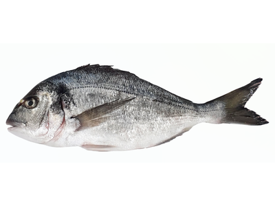 Šaldyta dorada su galva, skrosta, 300 - 400, glazuruota, ~1 kg