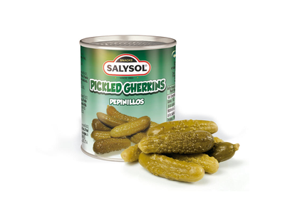 Marinuoti agurkai SALYSOL,120g/50g