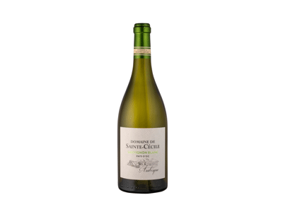 Baltasis sausas vynas DOMAINE SAINTE CECILE SAUVIGNON, 750 ml