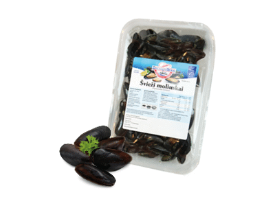 Šviežios paprastosios midijos (lot. Mytilus edulis), 1 kg
