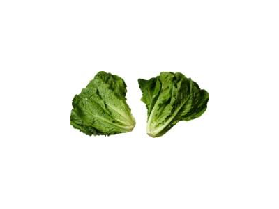 Salotos ROMAINE, I klasė, kg