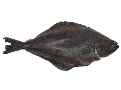 Atlantinis paltusas, skrostas, be galvos,  4-6kg