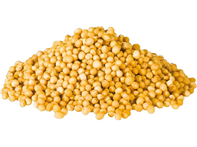 Geltonųjų garstyčių sėklos, 500g