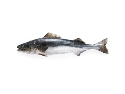 Mažoji angliažuvė, skrosta, 1,8-2,7 kg, užauginta ūkyje