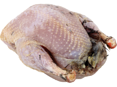 Šaldyta kurapka 250+ g, Anglija