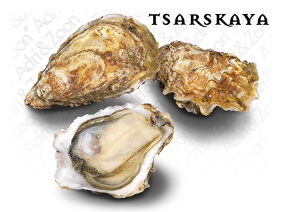 Austrės ADRI & ZOON Tsarskaya 2, 80-120 g, 24 vnt.