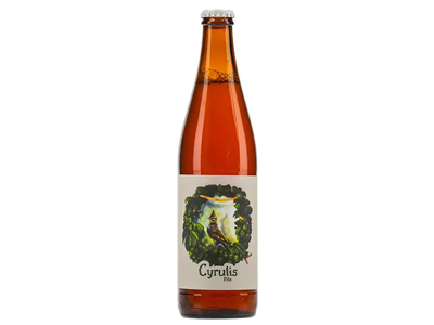 Alus CYRULIS PILS PILSNER 4,9%, 0,5 l