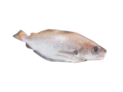 Prancūzinė menkutė, skrosta, ~2,5kg
