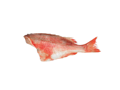 Šaldytas didysis jūrinis ešerys, be galvos,skrostas,500-700,7kg