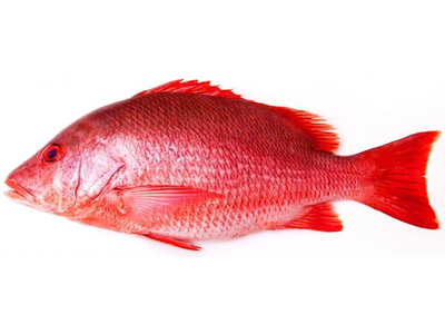 Rausvasis rifešeris, skrostas, su galva,~1kg