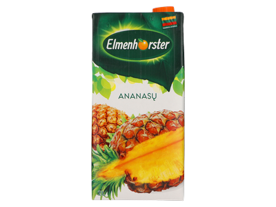 Ananasų sulčių gėrimas ELMENHORSTER, 25%, 2 l
