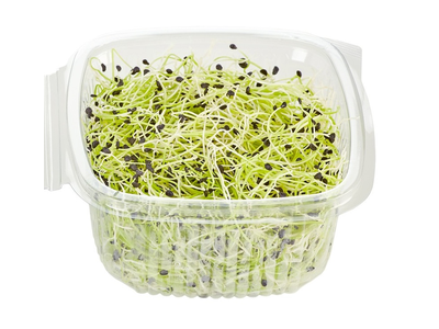 Porų daigai, 50 g