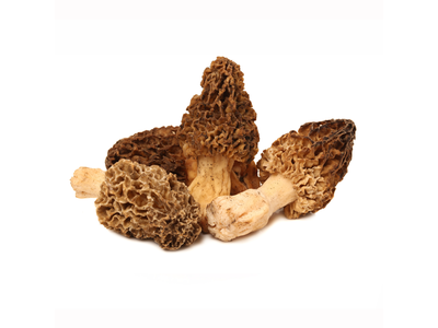 Grybai Morel, I klasė, kg,