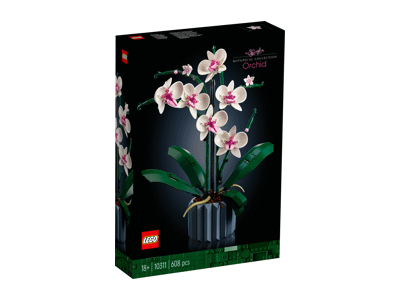 Konstruktorius LEGO TBD-ICON-LIFESTYLE, 10311, 1 vnt.