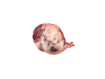 Šaldyti bebro kumpeliai su kaulu, kg