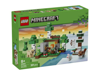 Konstruktorius LEGO PIRMOSIOS NAKTIES NUOTYKIS 21593